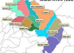 Peta Wilayah Administrasi Pemerintahan Kabupaten Tebo